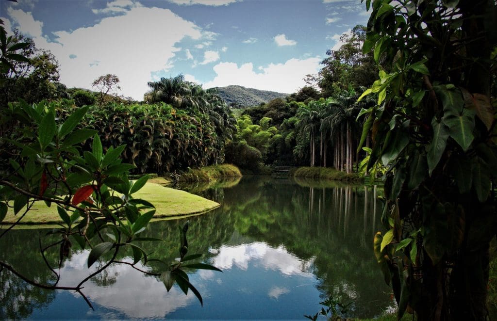 Sul de Minas - the largest coffee-growing state in Brazil