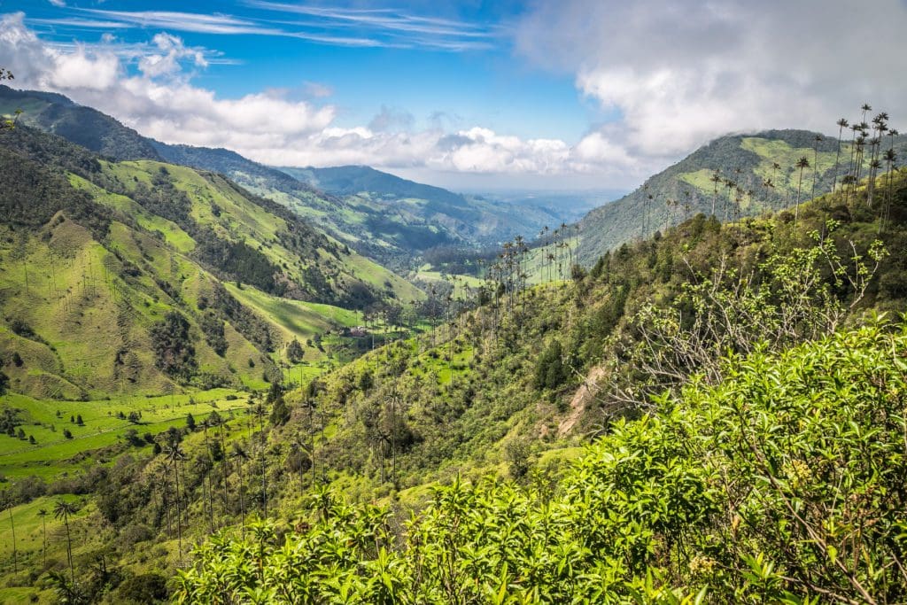 Colombia coffee from the Green Mountains of Colombia